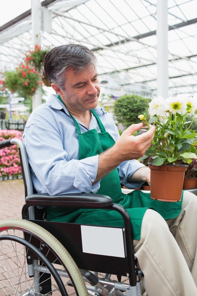 Garden center worker in wheelchair touching and admiring potted plant in greenhouse of garden center